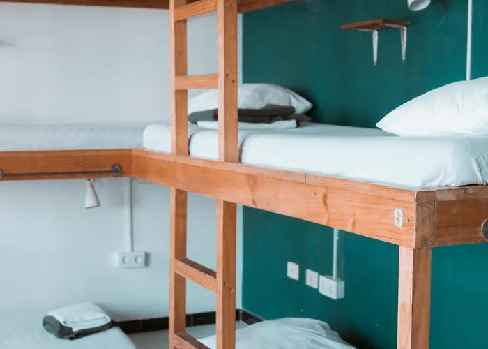 Surf House Gran Canaria Albergue