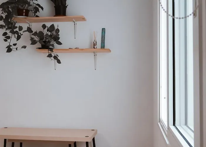 Surf House Gran Canaria Albergue *