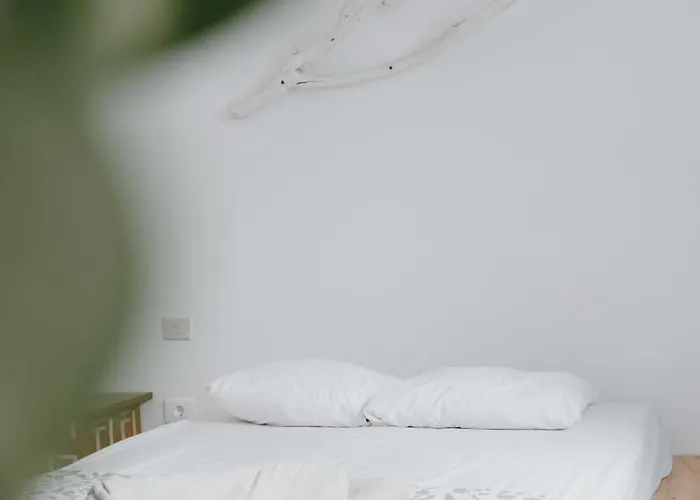 Surf House Gran Canaria 라스팔마스