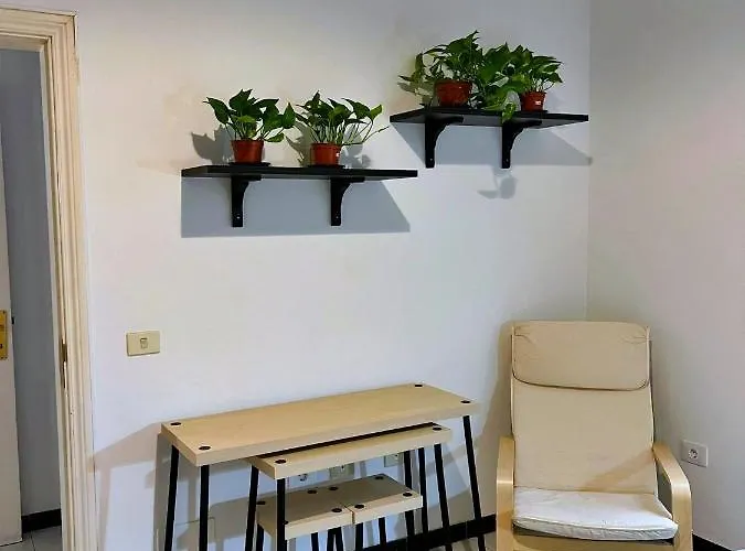 Surf House Gran Canaria 旅馆 大加那利岛拉斯帕尔马斯