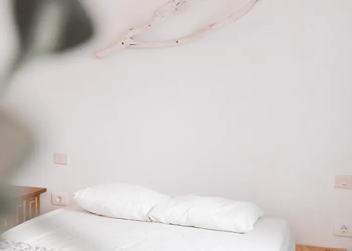 Surf House Gran Canaria 大加那利岛拉斯帕尔马斯